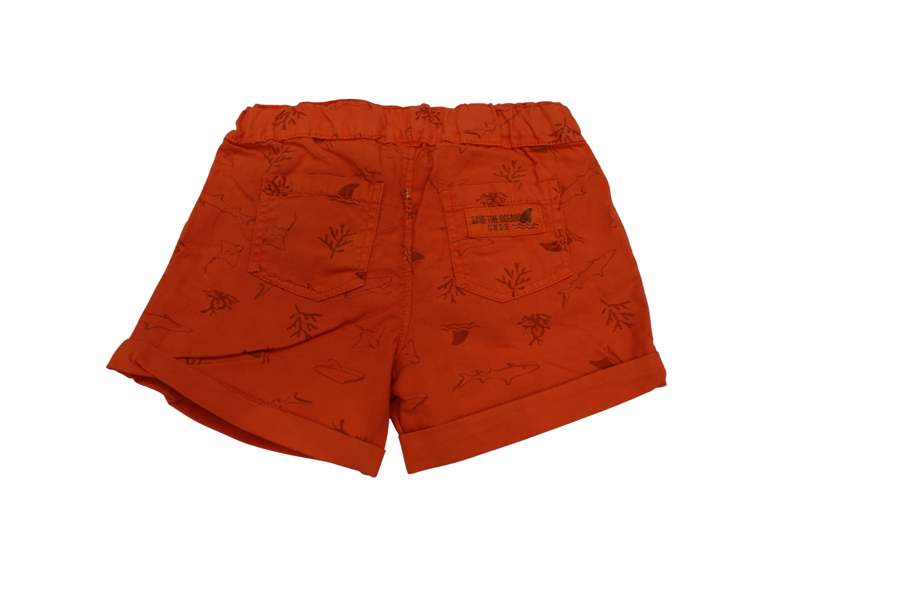 Bermuda sealife boy - Canada House