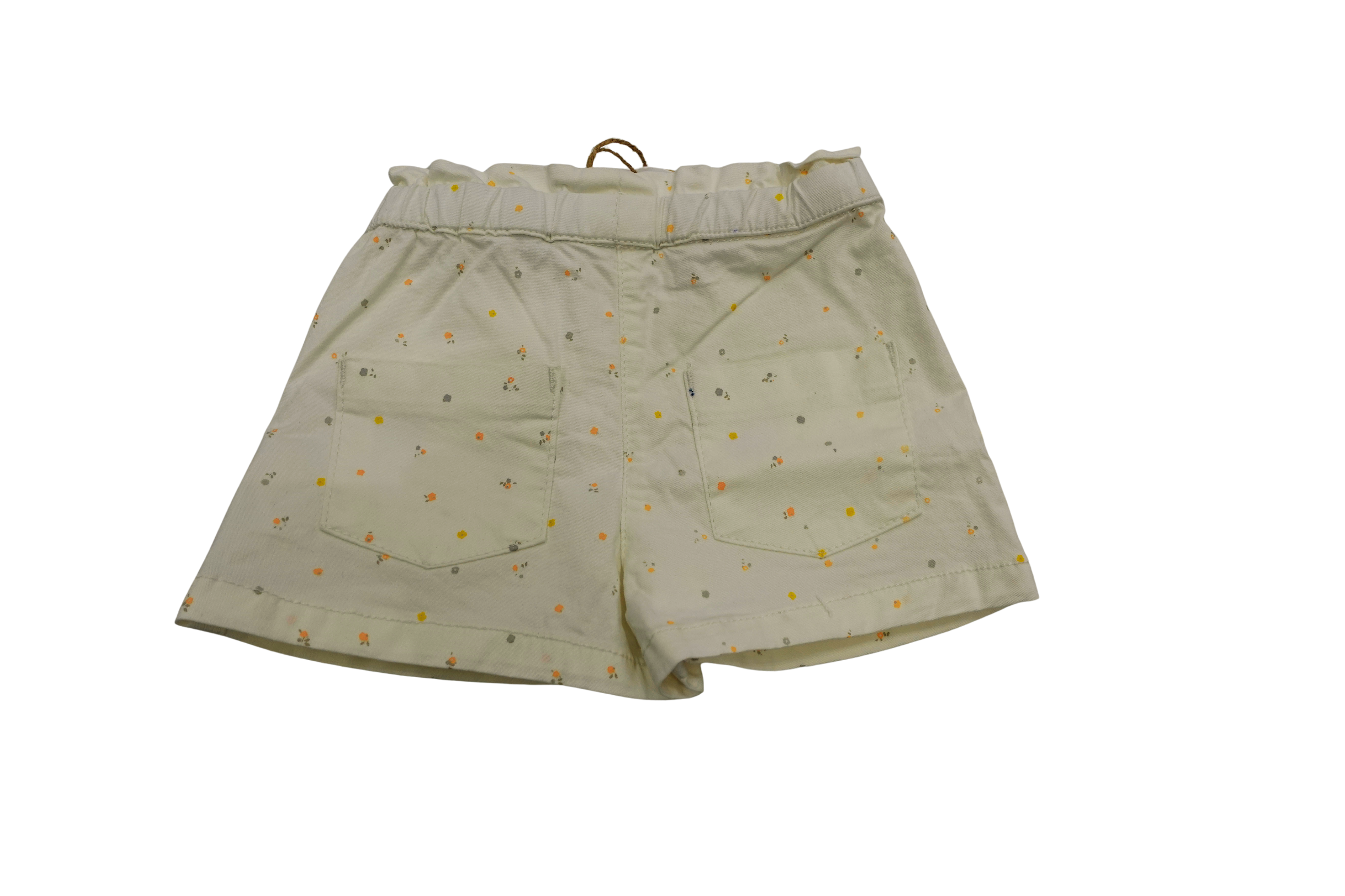 Bermuda neonata - BY2531