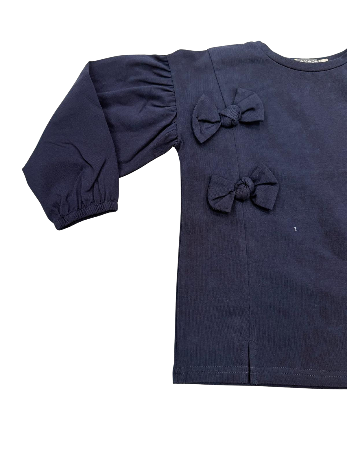 Canada house - 25483031